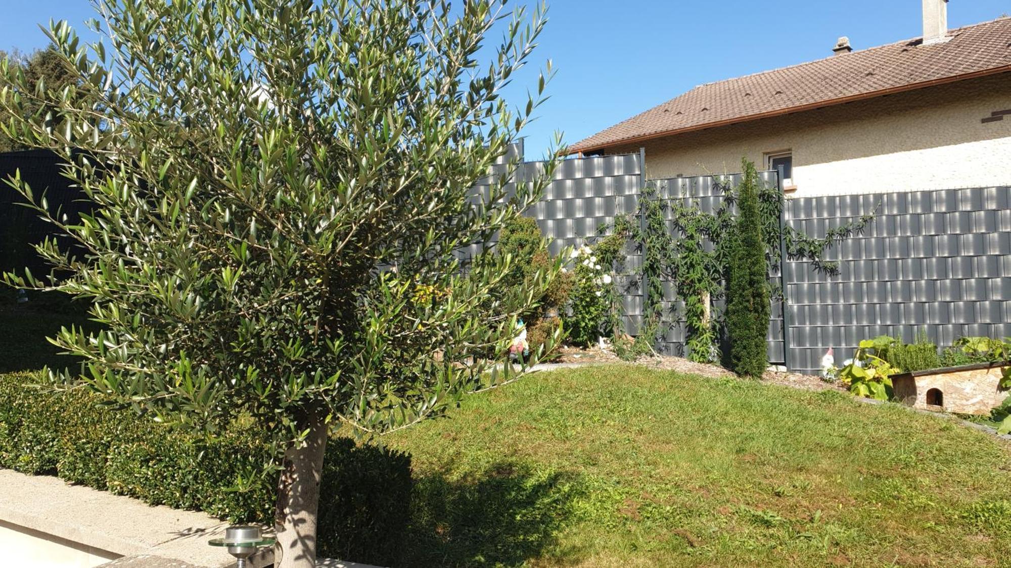 Le Gite Du Fort Bitche Esterno foto